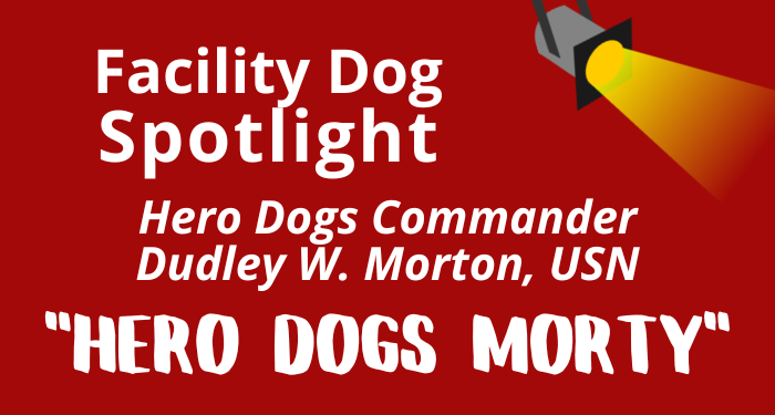 Newsletter%20spotlight%20graphic%20issue%2023%20v2.png