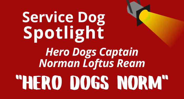 Newsletter%20spotlight%20graphic%20issue%2027(1).png