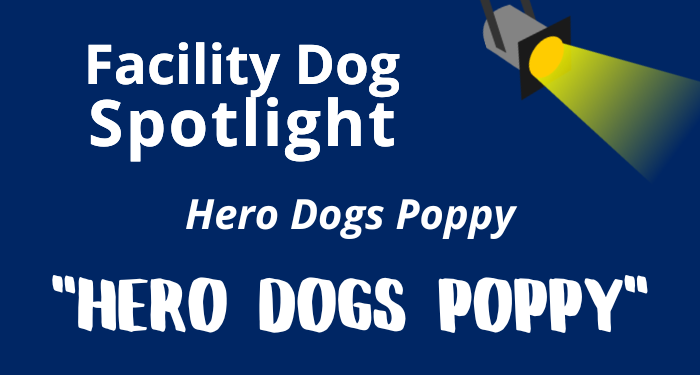 Newsletter%20spotlight%20graphic%20issue%2028.png